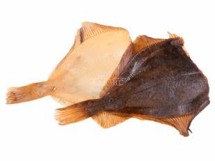 Сазан (бабочка) холодного копчения: Камбала холодного копчения